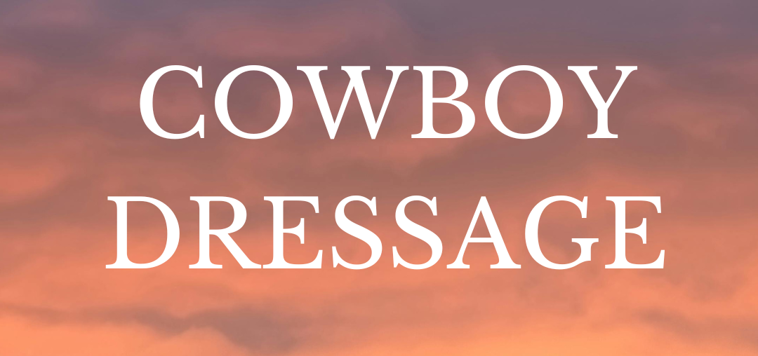 cowboydressagebanner