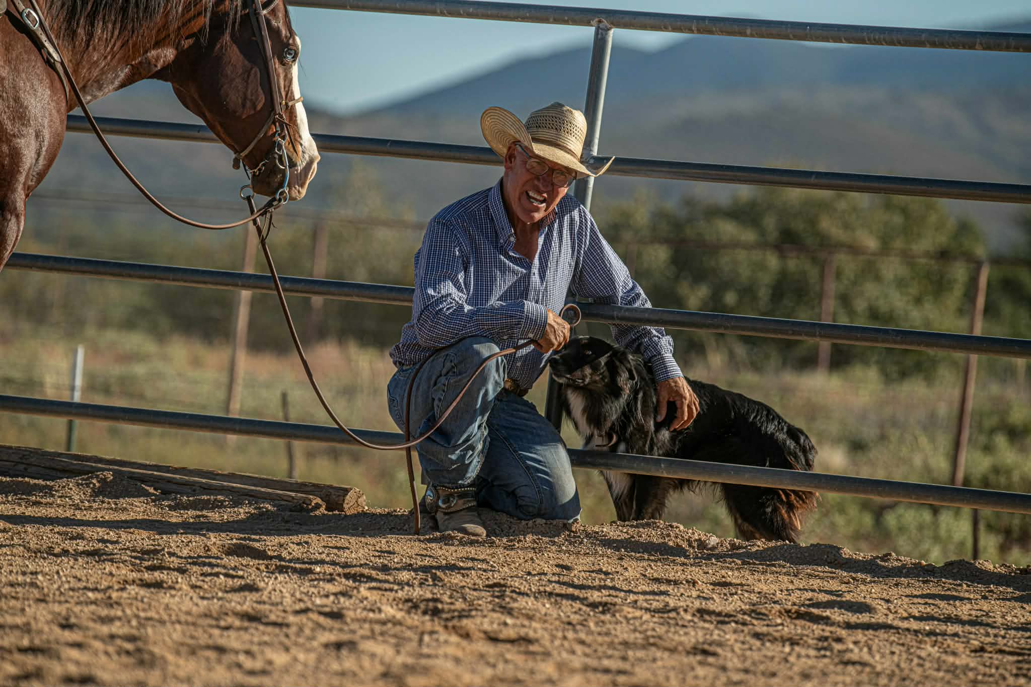 ec3fe3b6-a629-489c-9483-dca02ab94e08